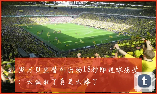 斯万贝里替补出场18秒即进球感受：太疯狂了真是太棒了